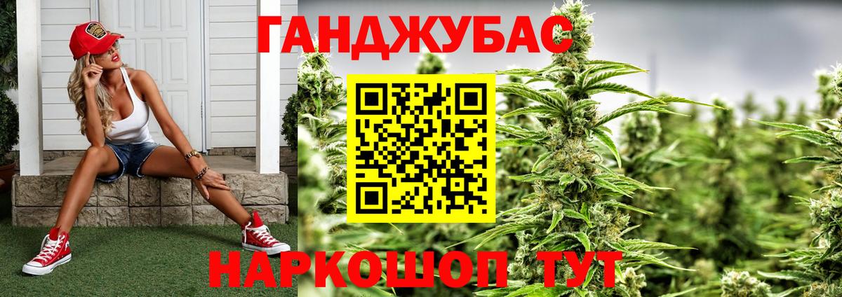 Каннабис планчик Малгобек